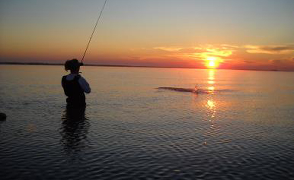 Sport Fishing East Galveston Bay