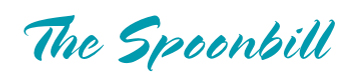 The Spoonbill Vacation Rental in Crystal Beach